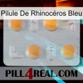 Pilule De Rhinocéros Bleu 24